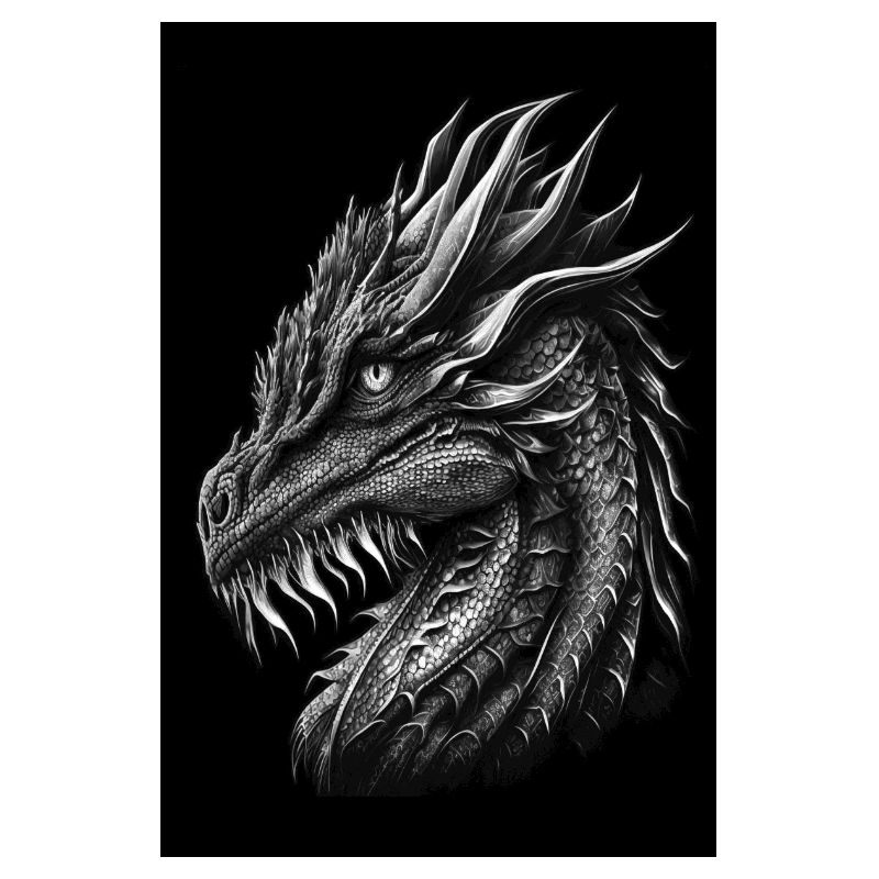 dragon noir et blanc