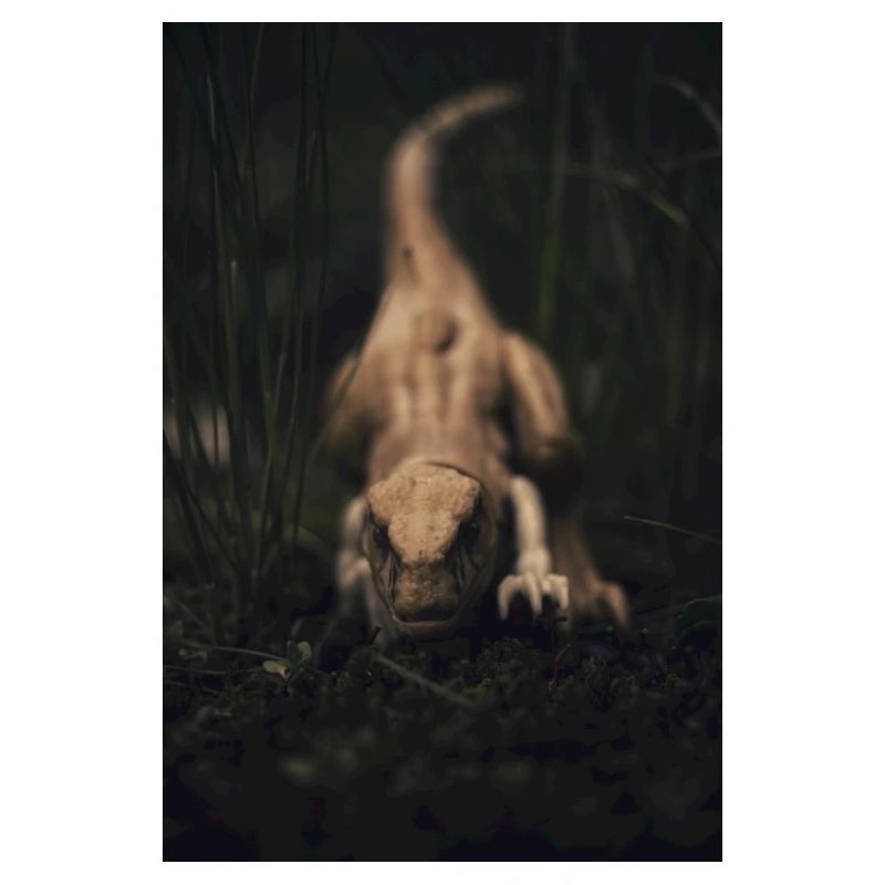 Raptor