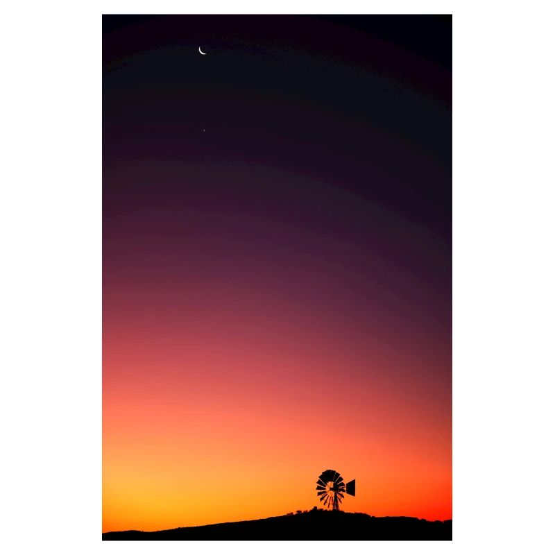Enchanted Sky