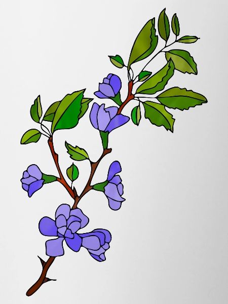 Fleur