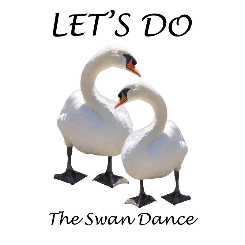 Cygne