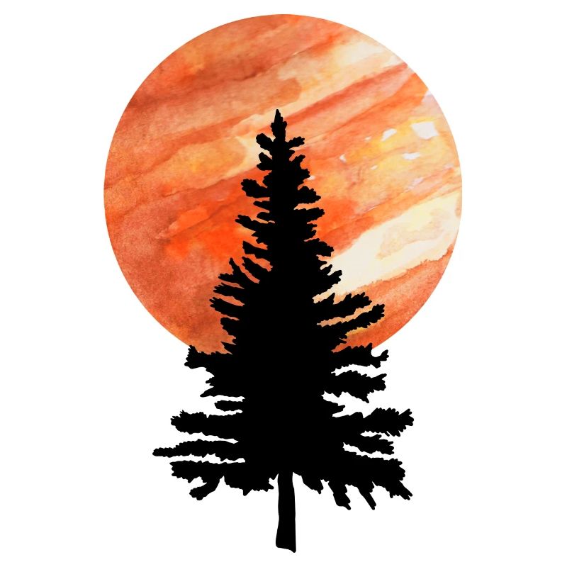 Pine tree and moon