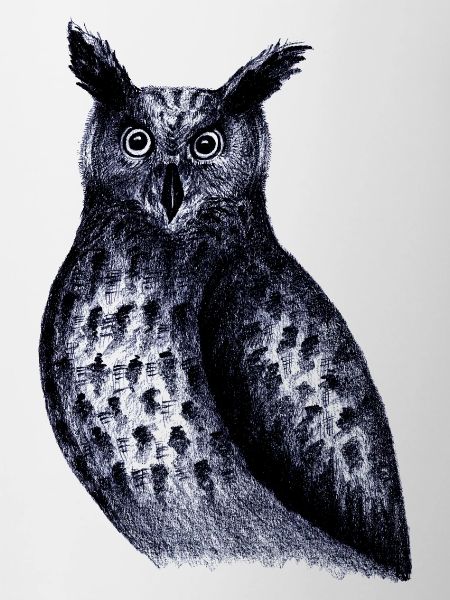 Birds of the Night