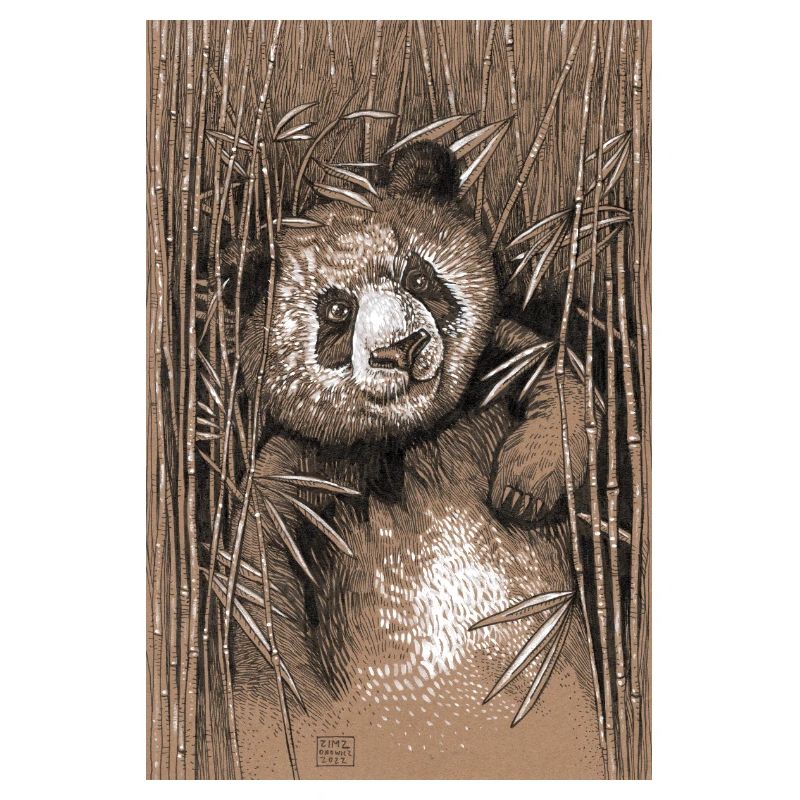 PANDA 02