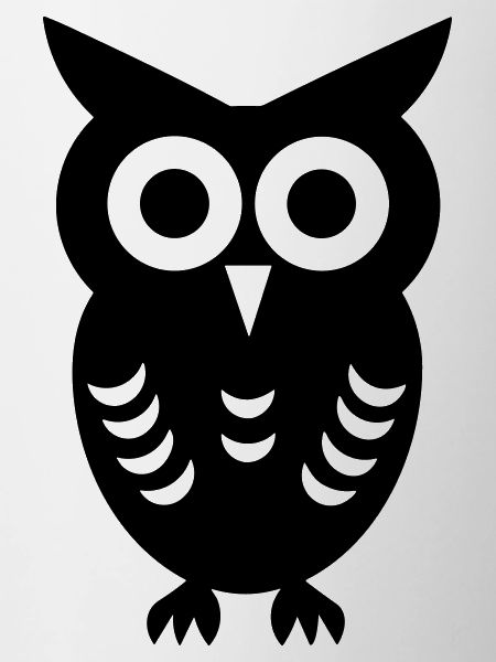 Little Owl