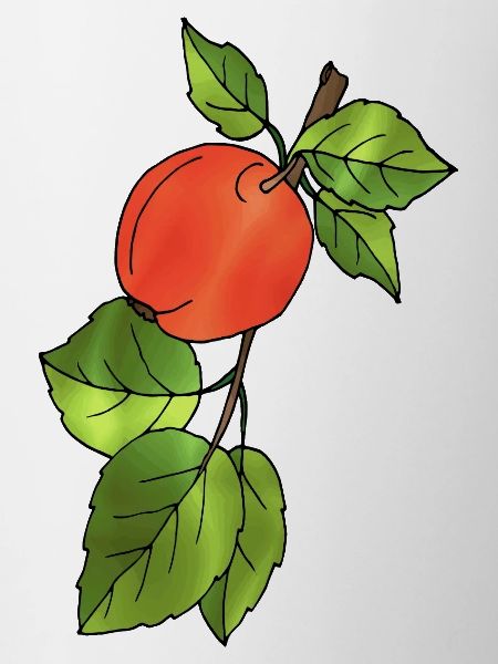 Pomme