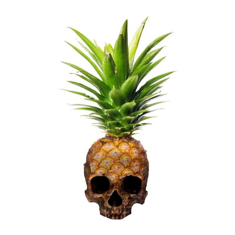 Pineapple Skull Ananas Teschio