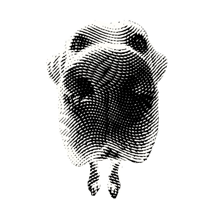 Labrador Bubu