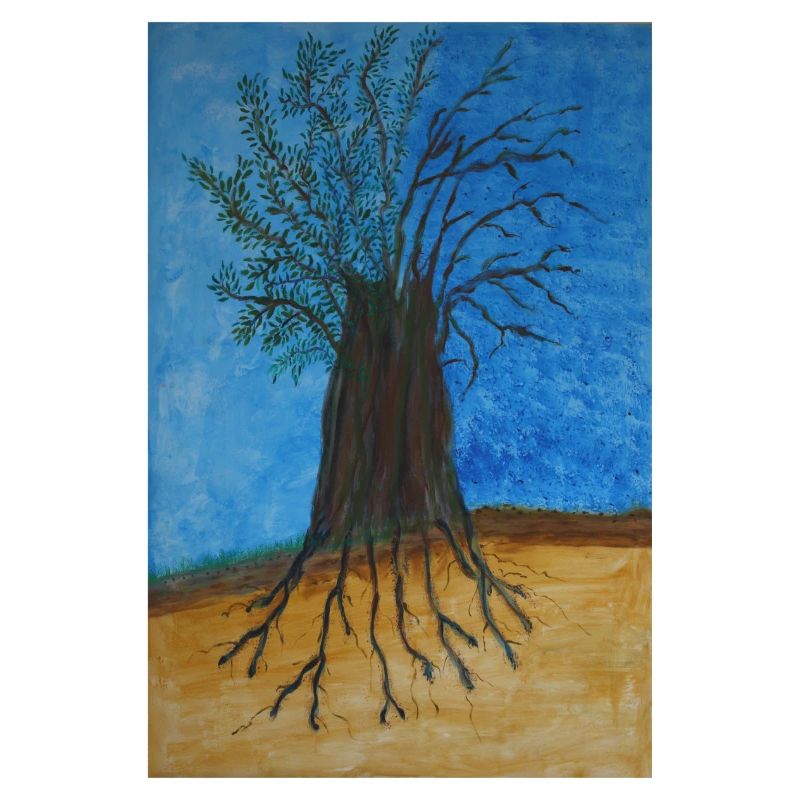 The Tree in the Raunkier Classification