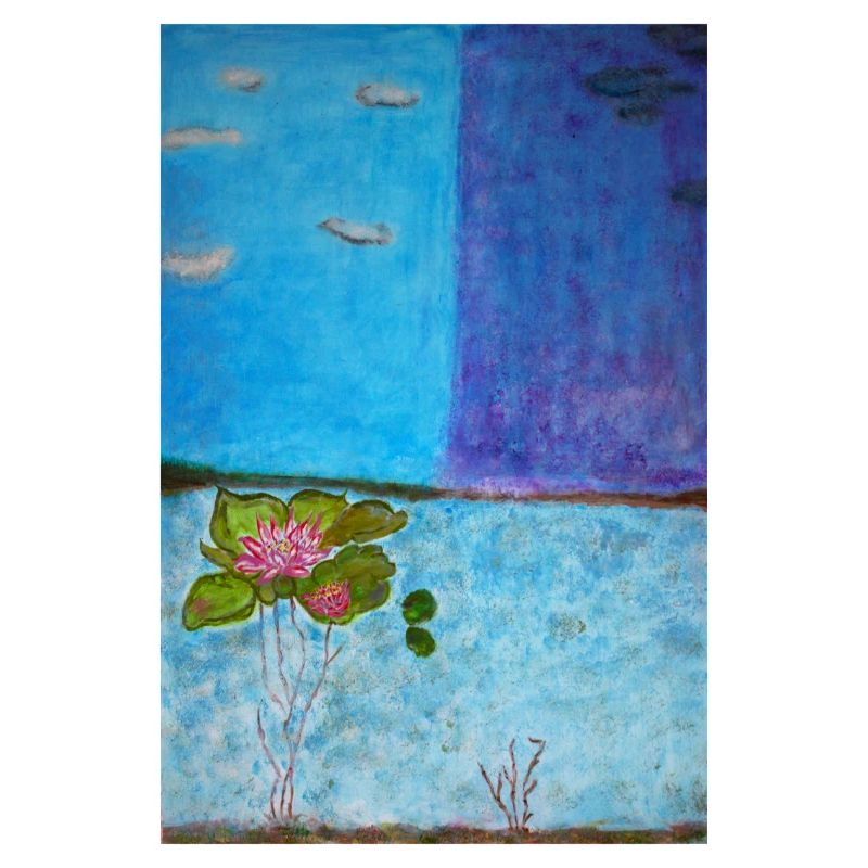 classification raunkier hydrophyte mélika