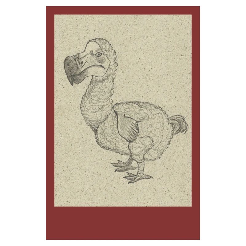 240527 Dodo 2