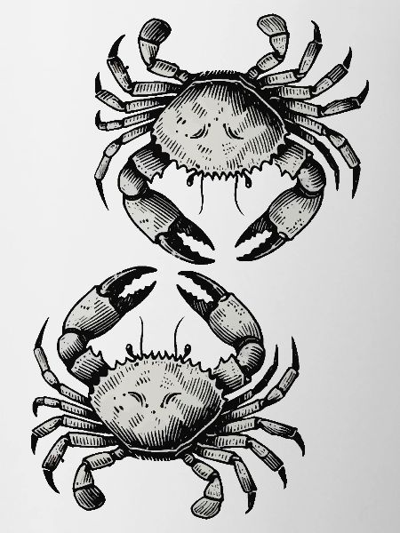Crab Crab