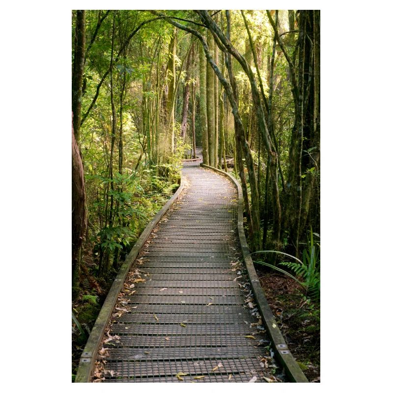 Der Endlose Boardwalk – Ein Pfad durch Neuseelands