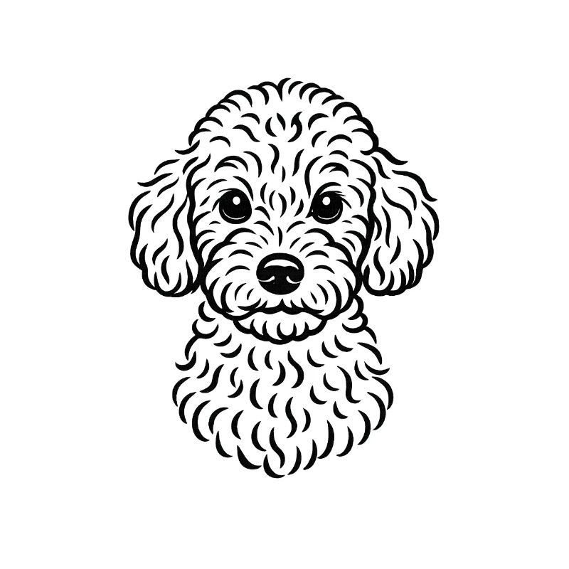 TinyPaws Black & White Edition Pudel Style b