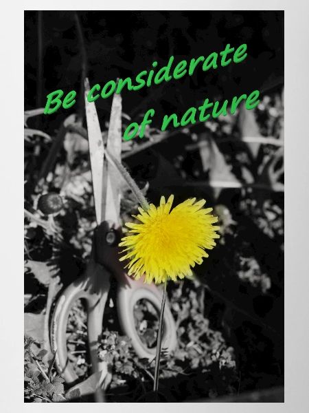 Be considerate of nature