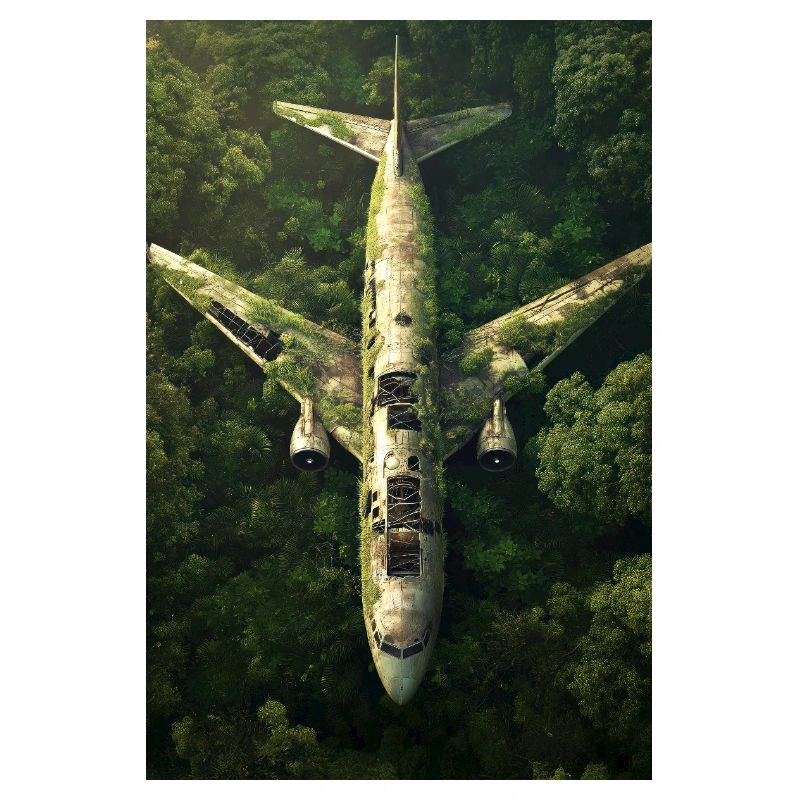 Épave d’avion abandonnée dans la jungle