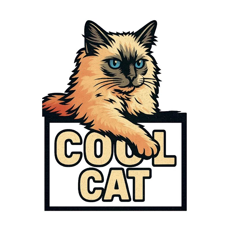 Chat cool