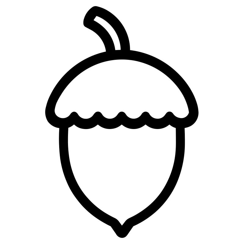 acorn
