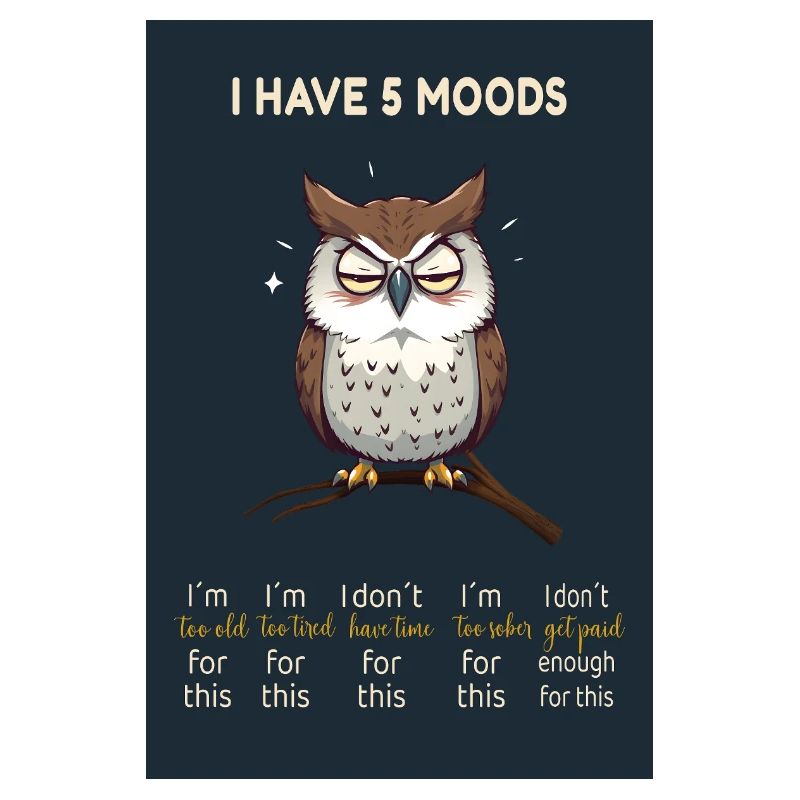 Grumpy Owl - J’ai 5 humeurs Design drôle