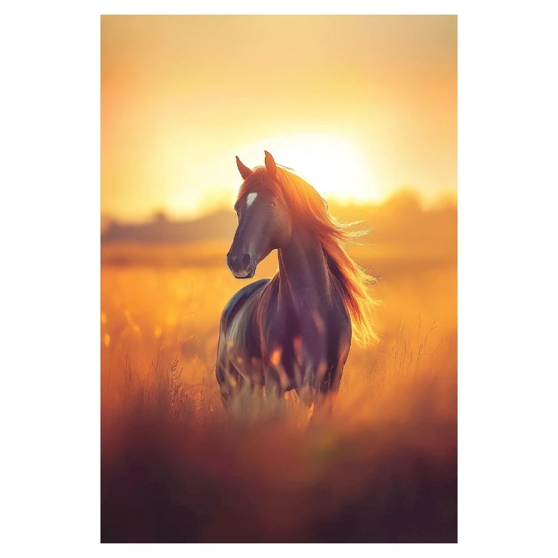 Cheval avec coucher de soleil