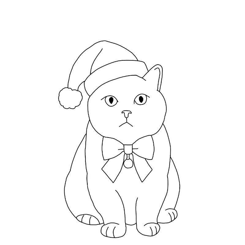 Chat de Noël 