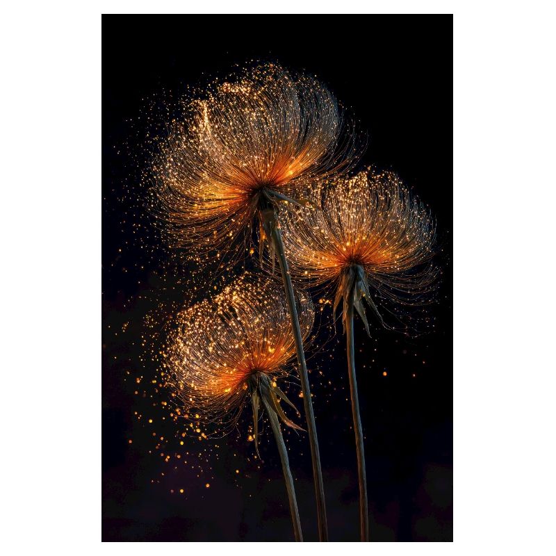 Gilded Dandelion Flight