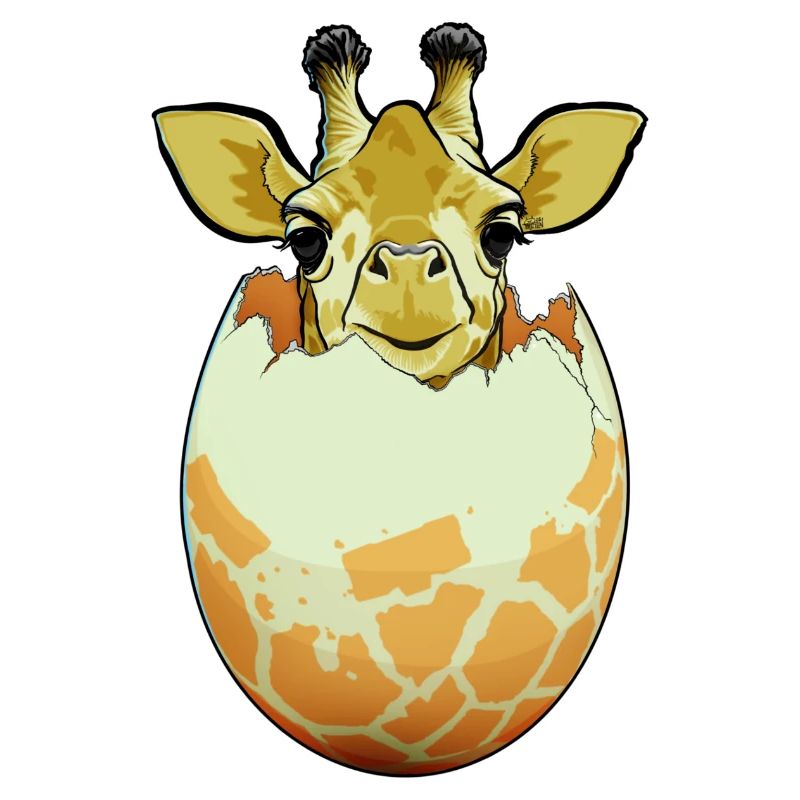 Éclosion de girafe