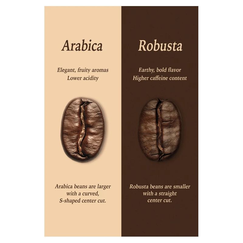 Arabica vs Robusta Coffee Guide Poster