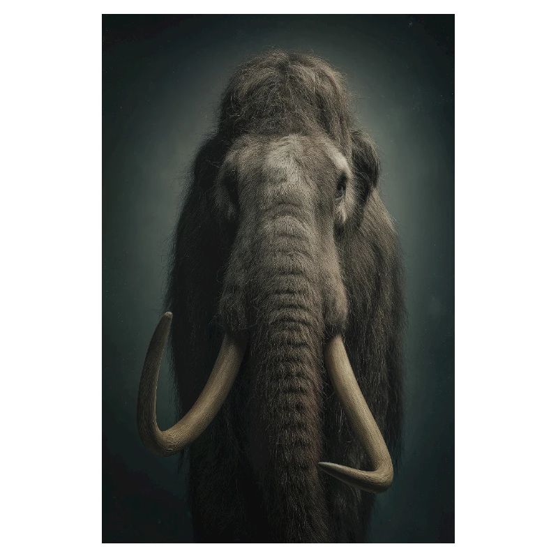 Éléphant d’ivoire nocturne