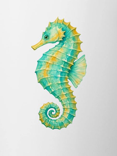 Hippocampe aquarelle