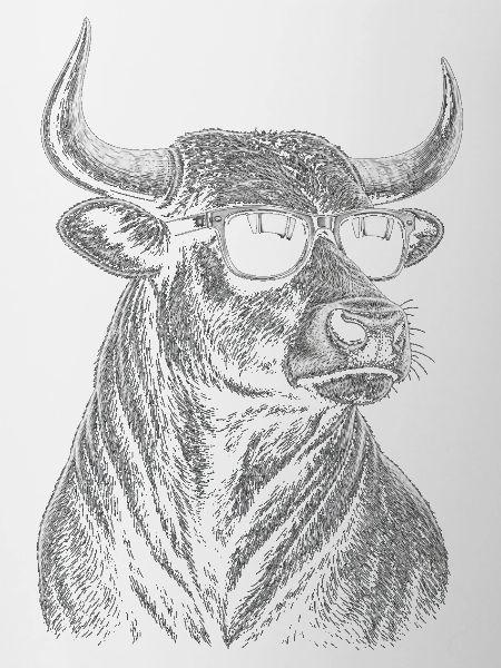 Bull mit Sonnenbrille