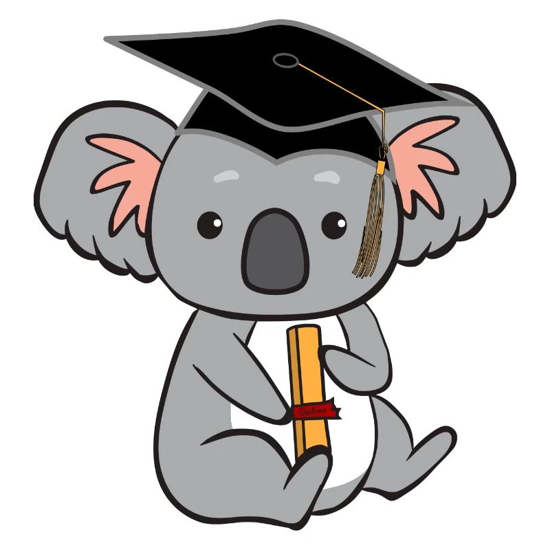 Koala with diploma