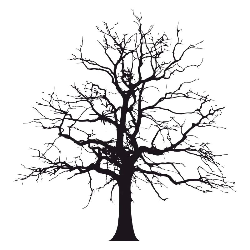 Baum Schatten