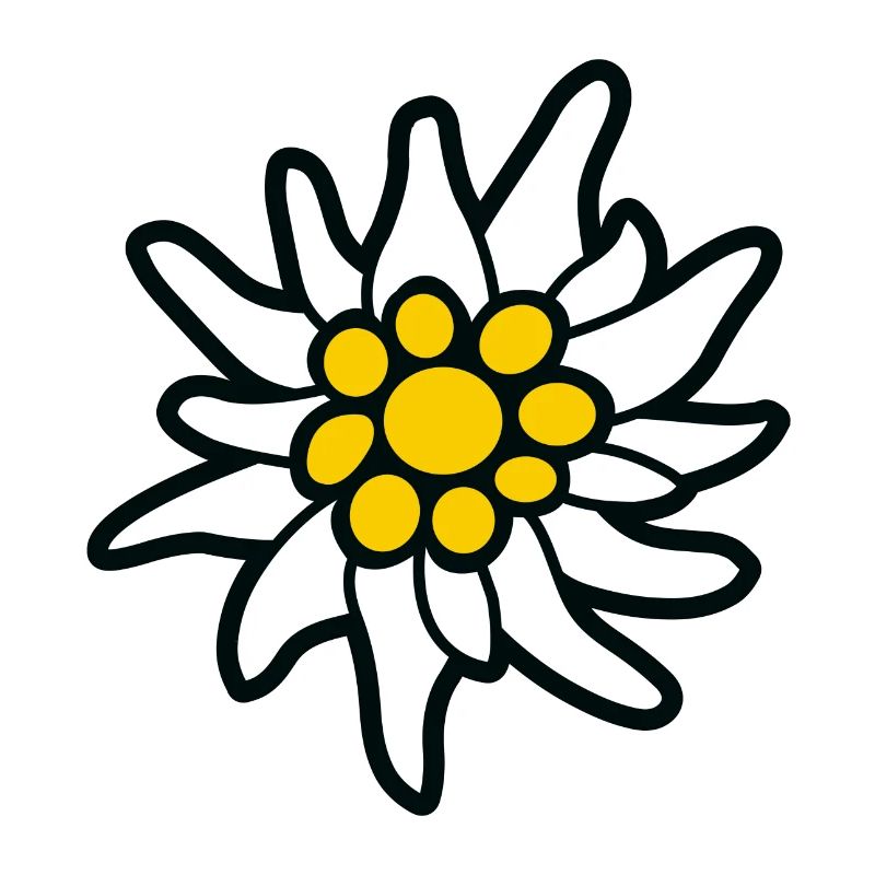 Edelweiss