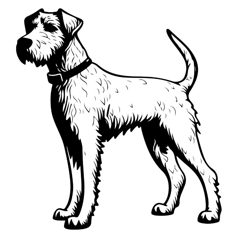 Chien Airedale Terrier
