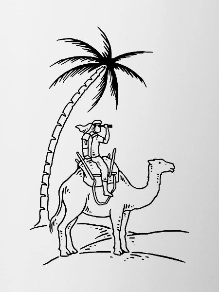 Sahara expedition