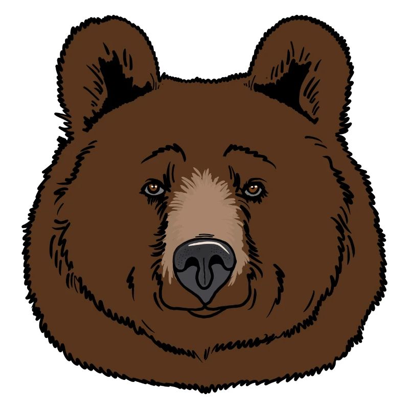 Brown bear head