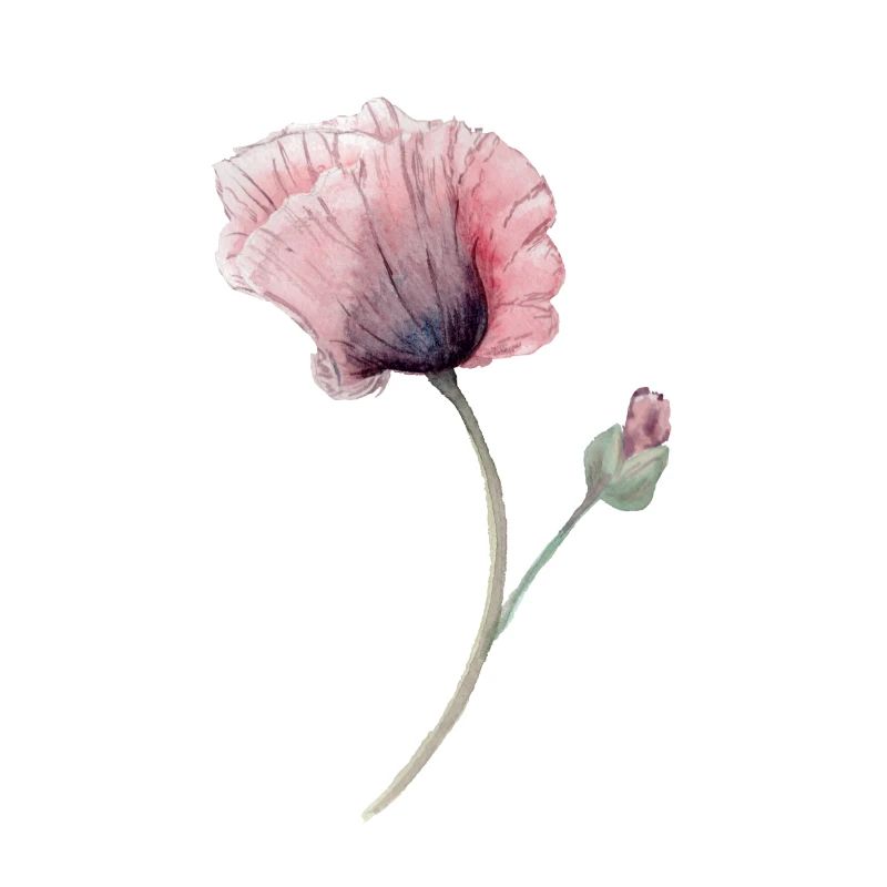 Blume