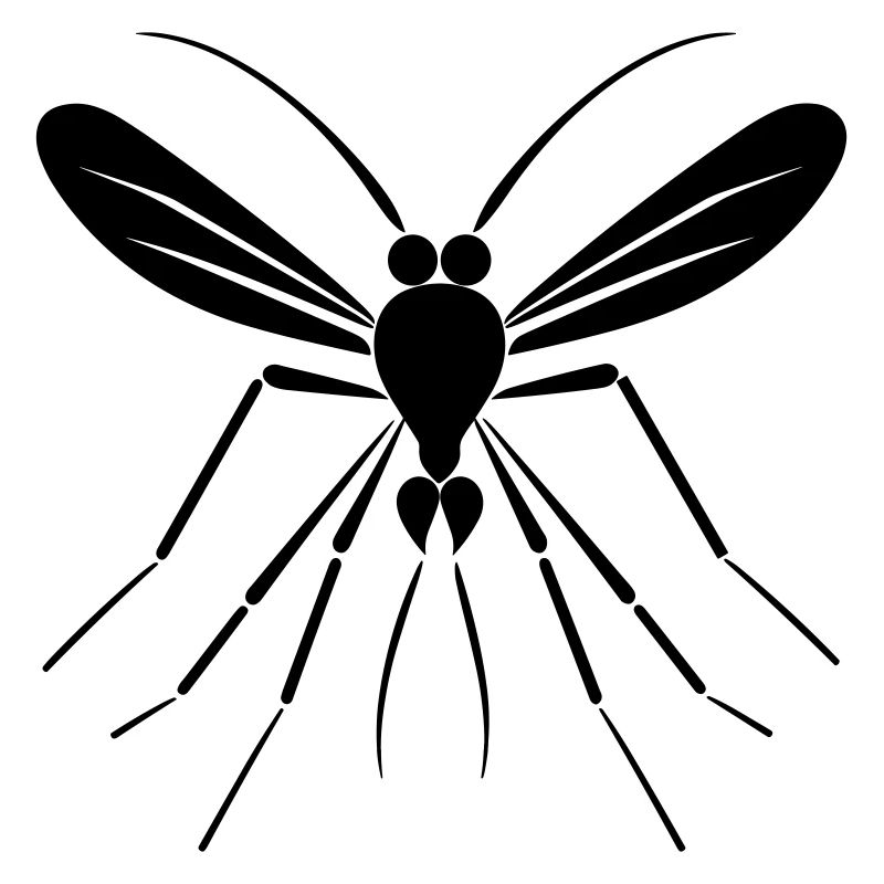 Mosquito
