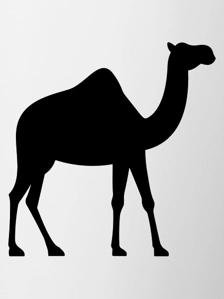 Kamel
