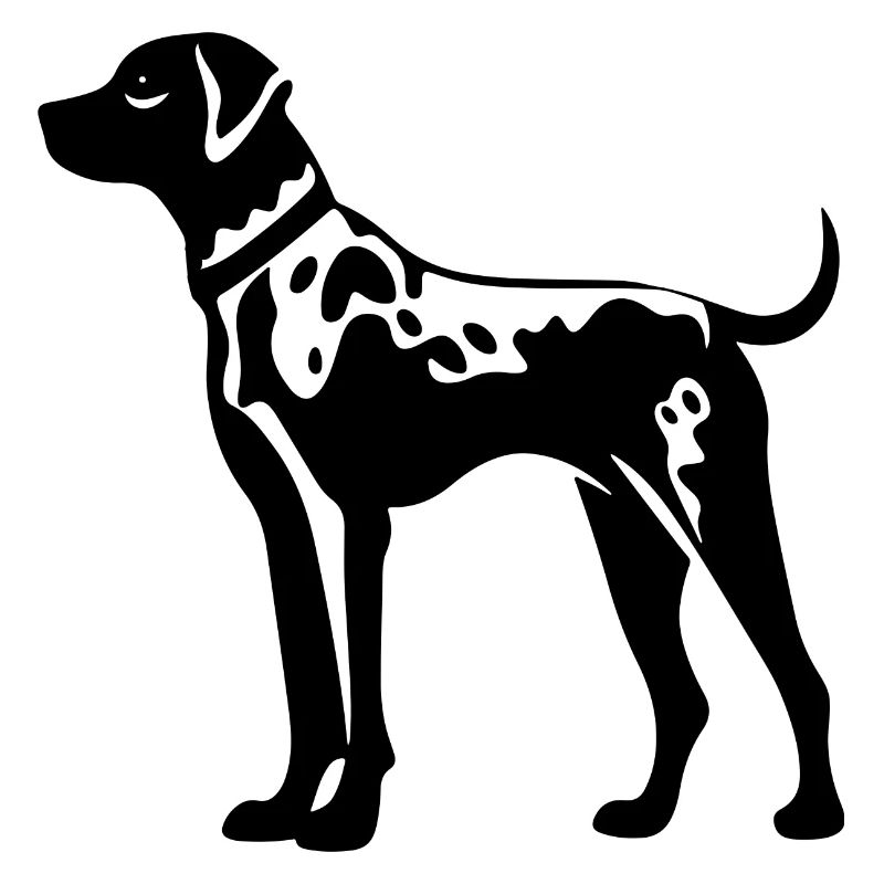 Chien dalmatien