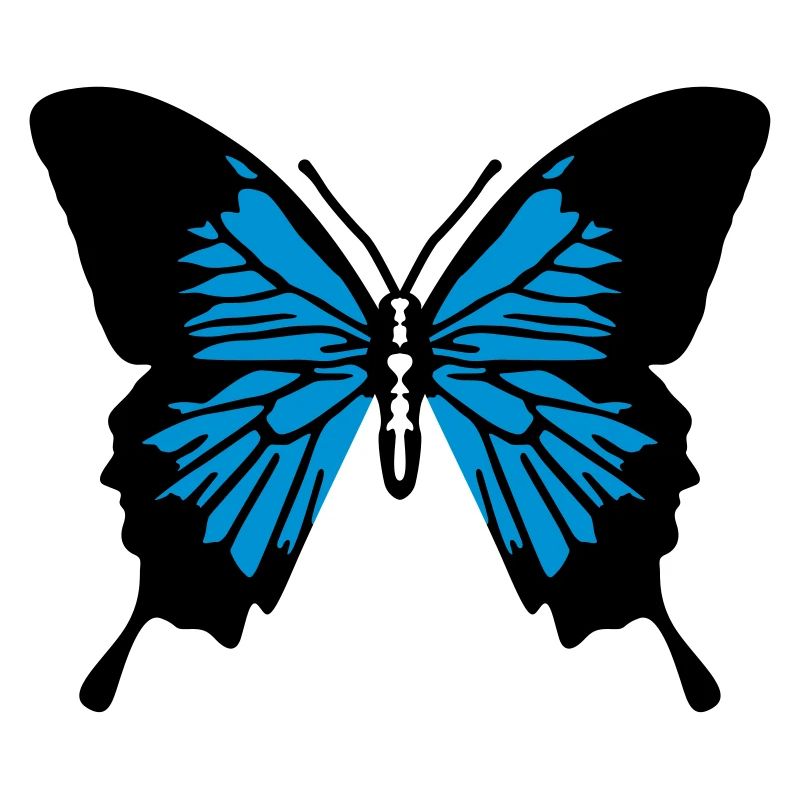 Papillon
