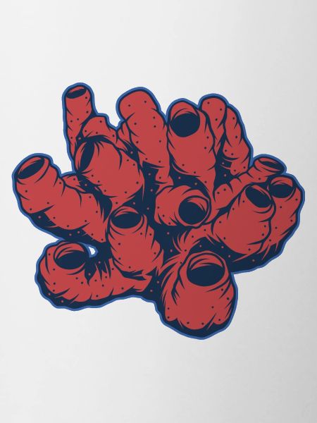 Corail