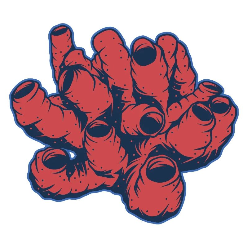 Corail