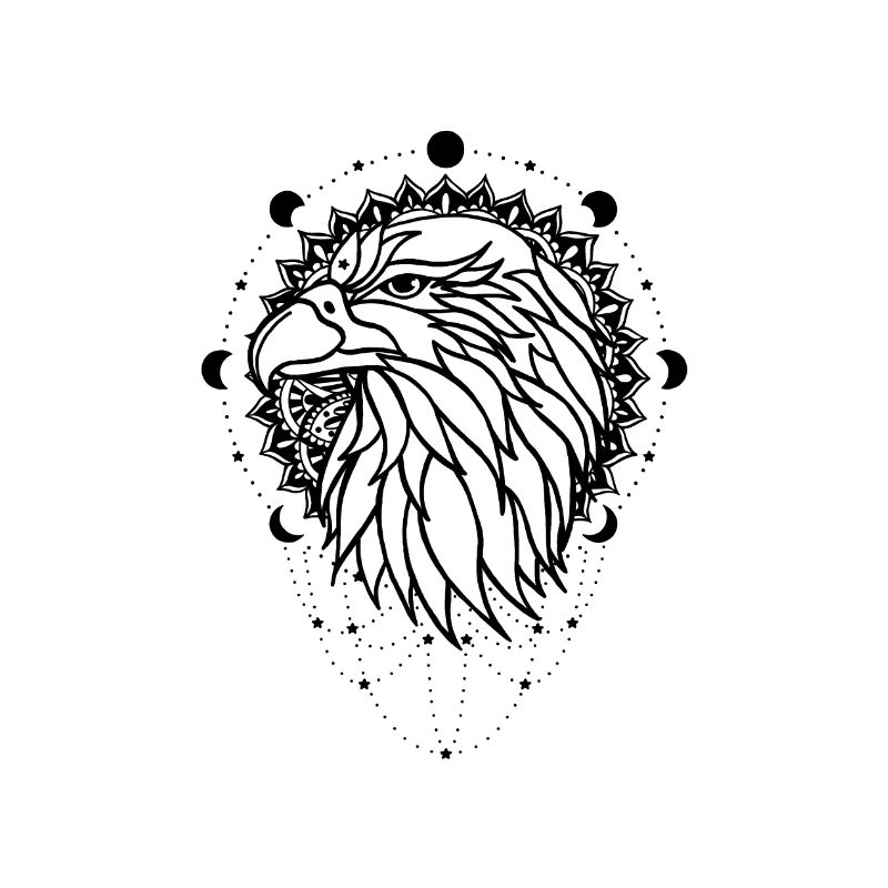 Aigle - animal de puissance