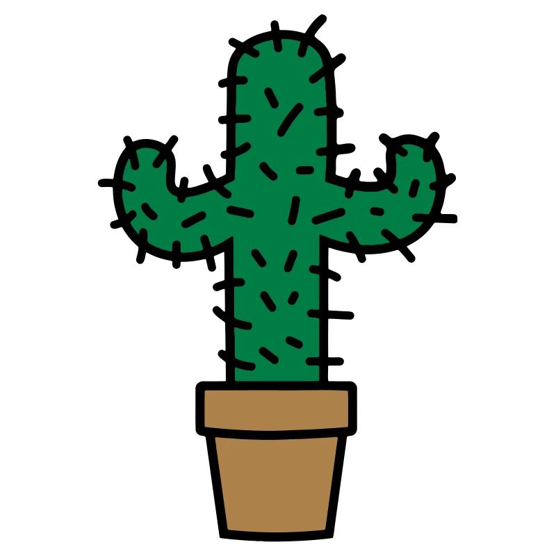 Cactus Kaktus Geschenkidee gift idea