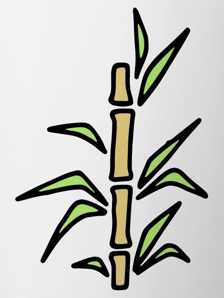 Bamboo bamboo bamboo cane