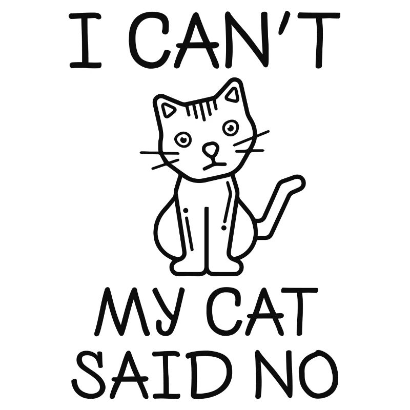 Je ne peux pas mon chat a dit non