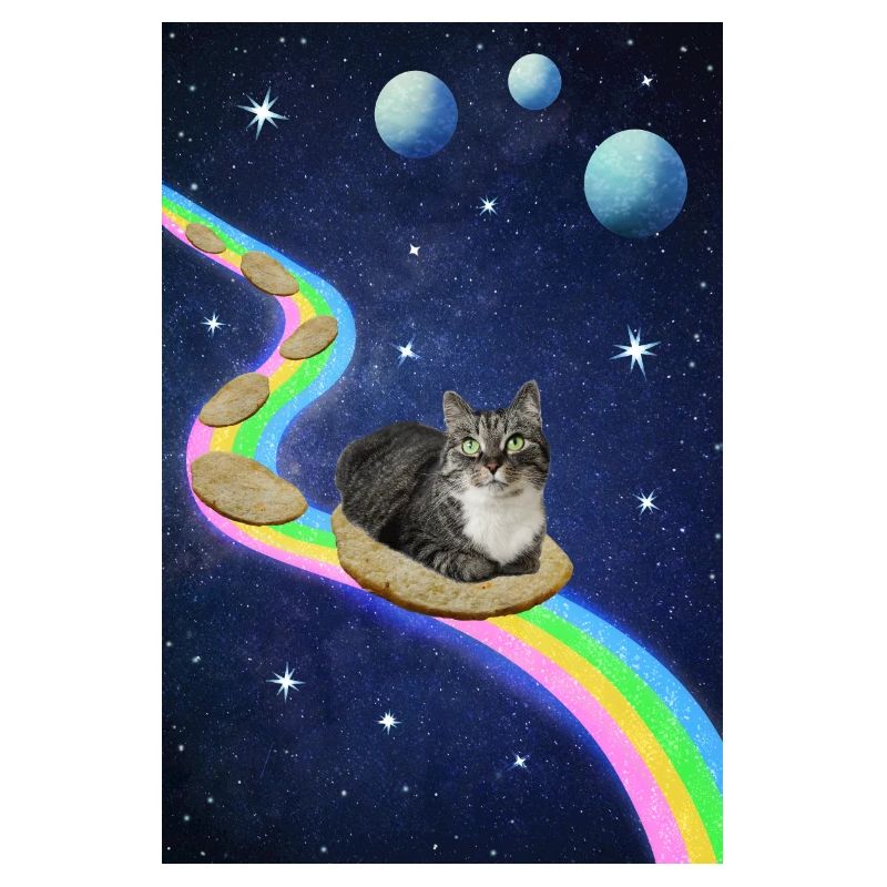 Chat mignon dans l’espace