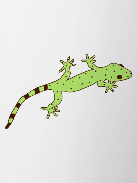 gestreifter Gecko